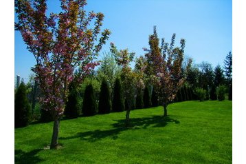 Węgry Privát Zalakaros, Zewnątrz